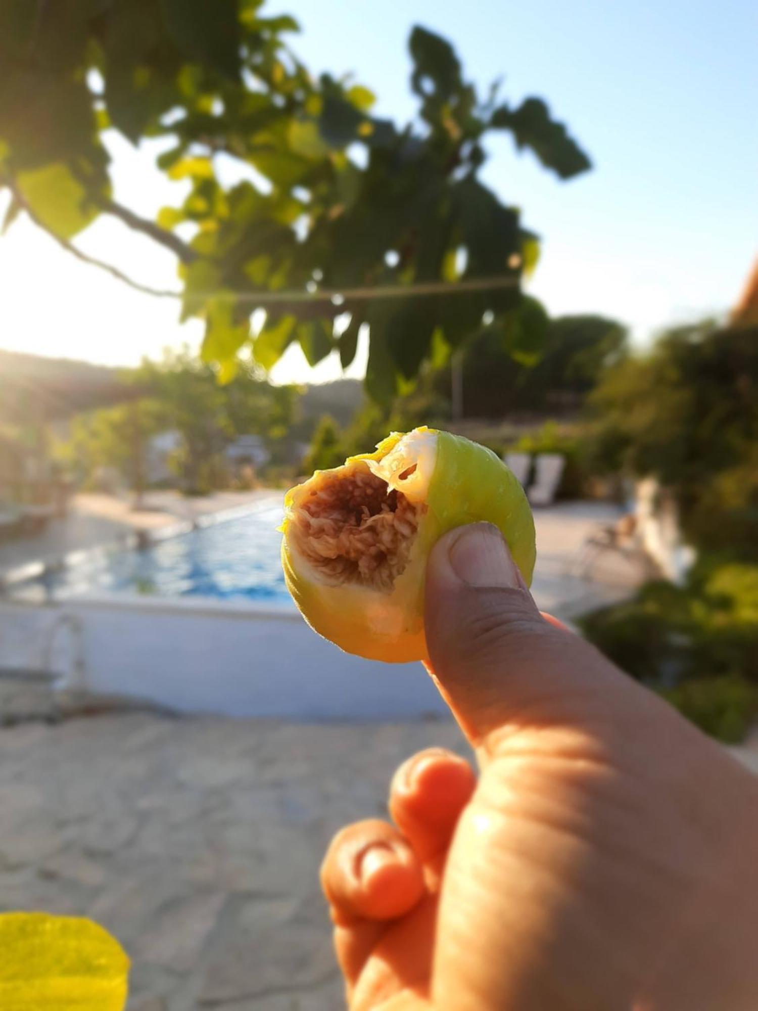 Ionia Guest House Aydin Ngoại thất bức ảnh