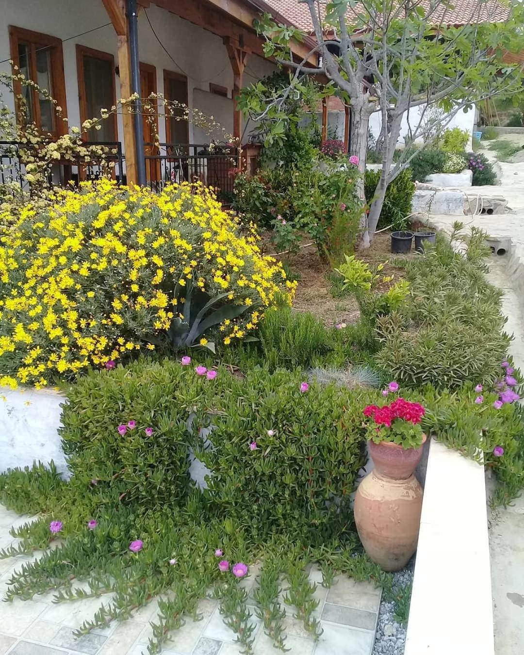 Ionia Guest House Aydin Ngoại thất bức ảnh