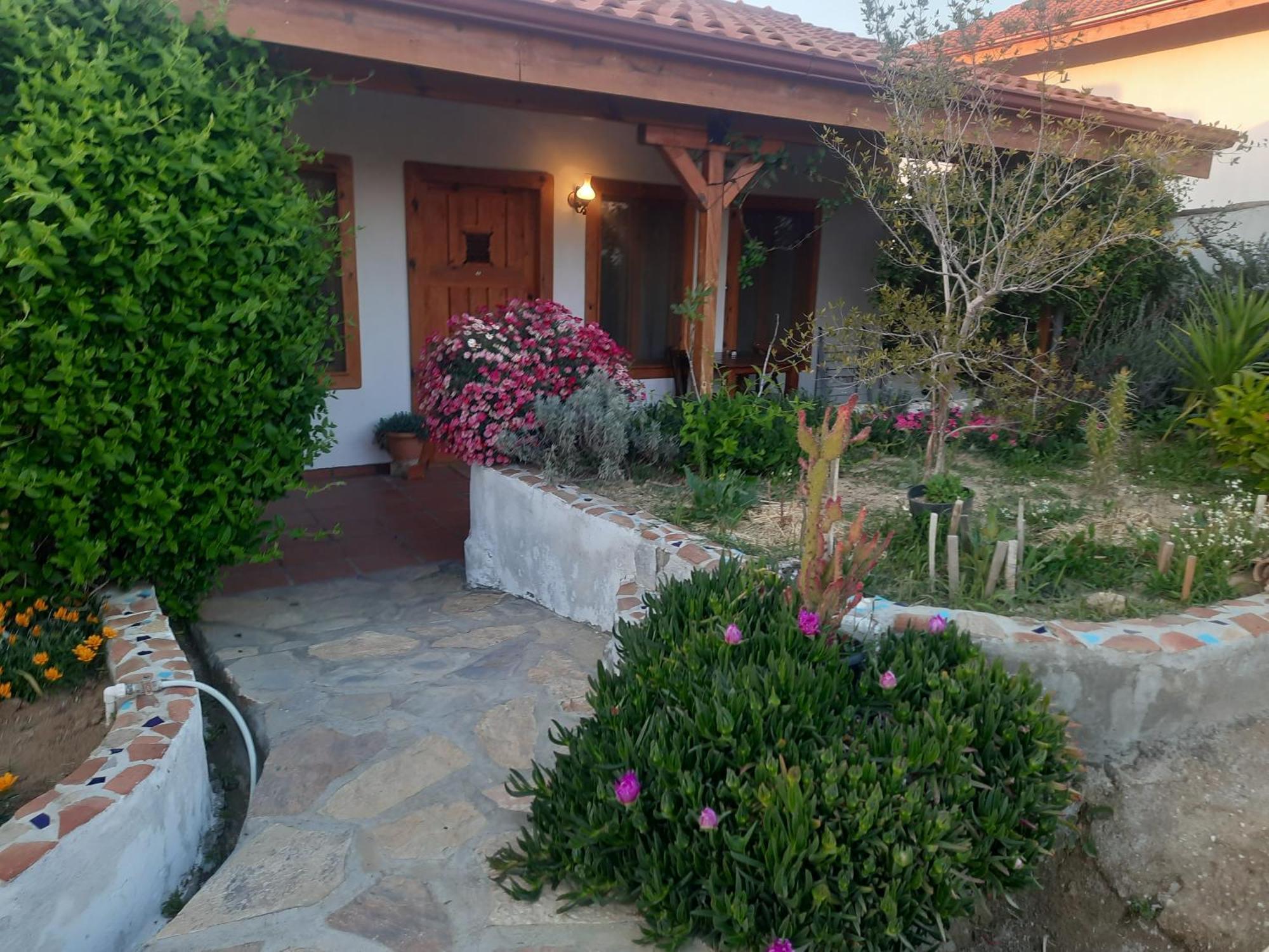 Ionia Guest House Aydin Ngoại thất bức ảnh