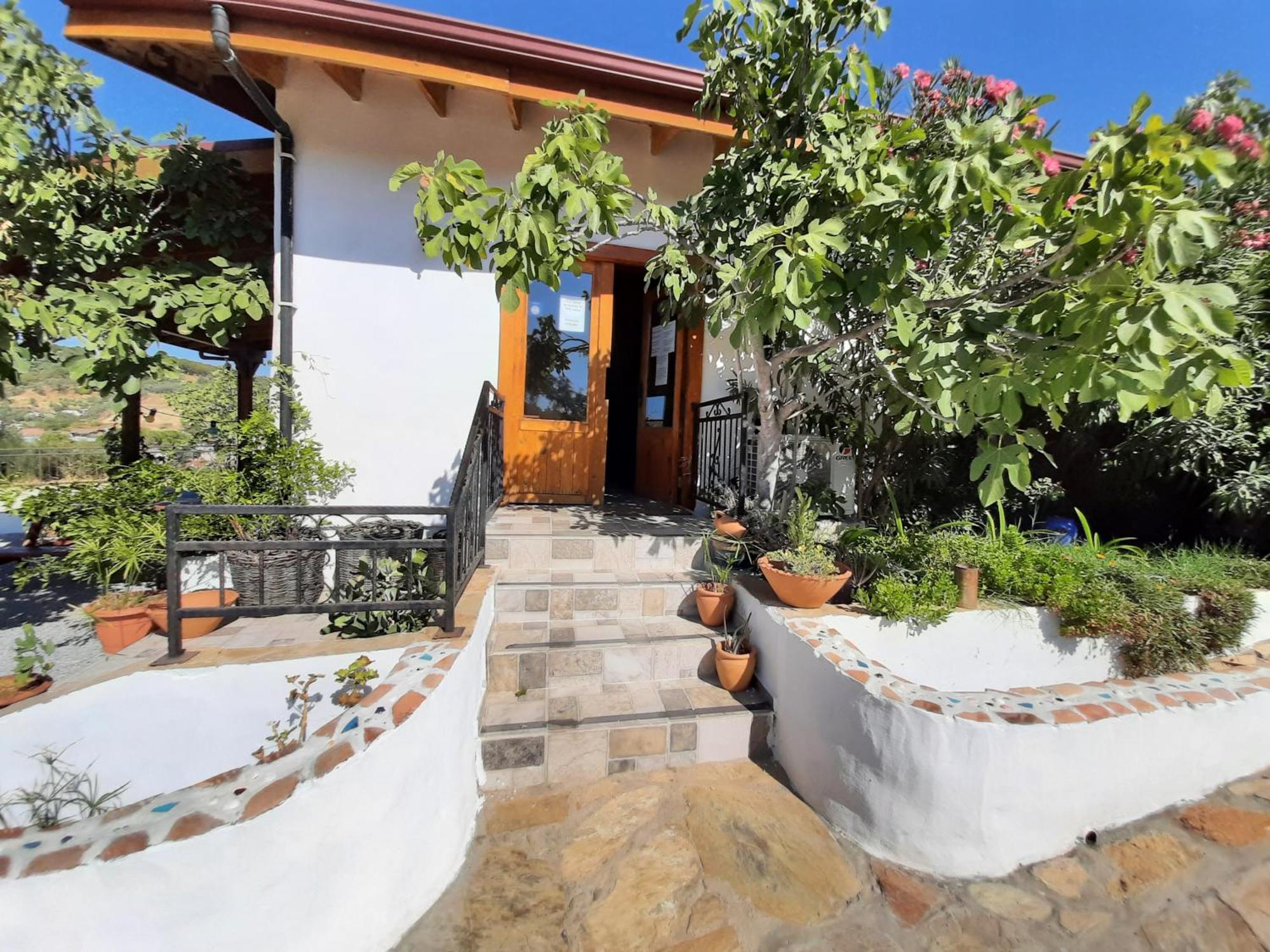 Ionia Guest House Aydin Ngoại thất bức ảnh