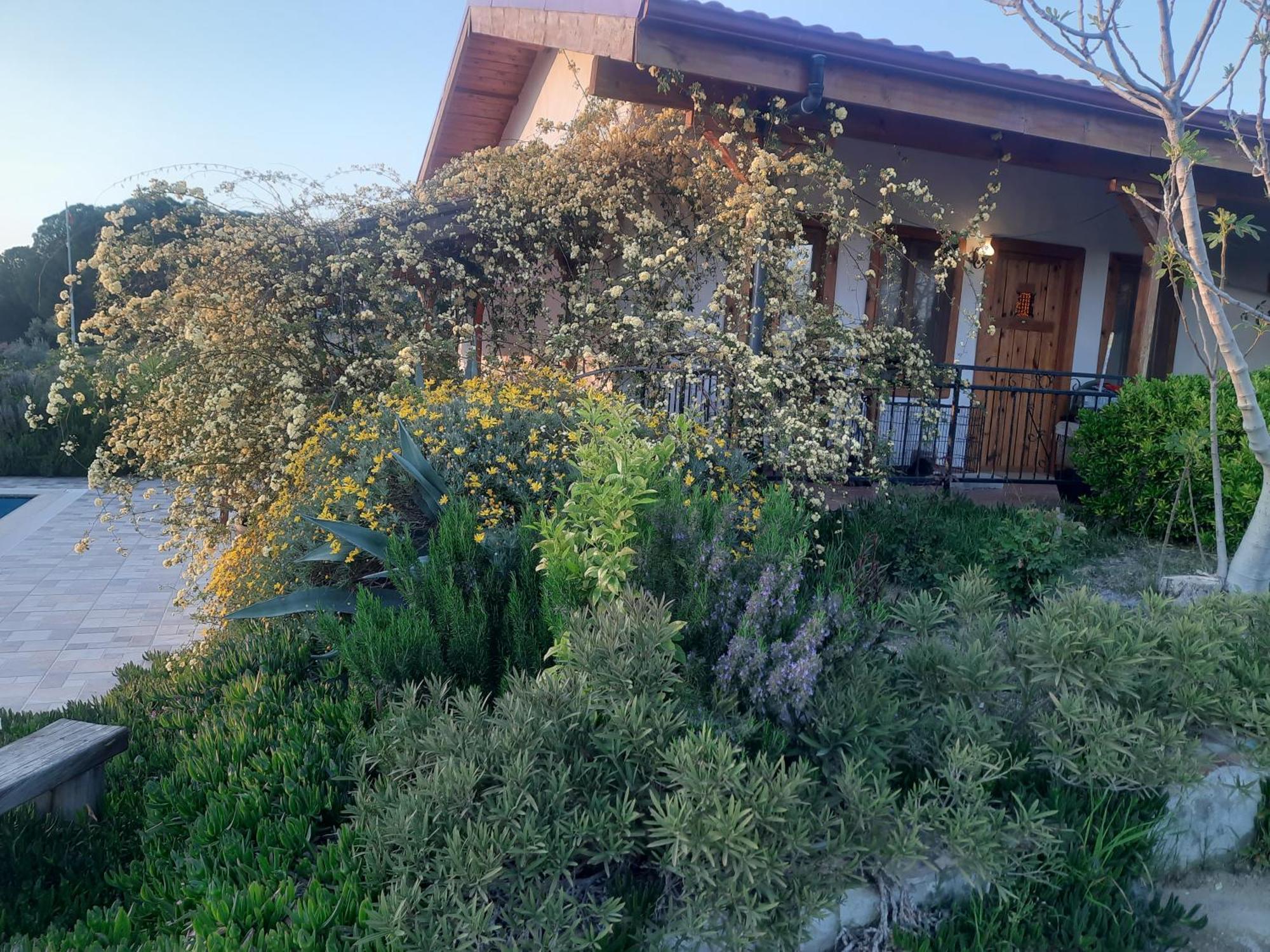 Ionia Guest House Aydin Ngoại thất bức ảnh