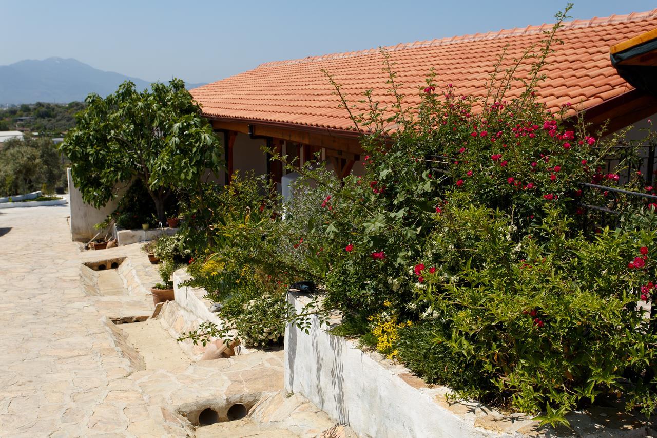 Ionia Guest House Aydin Ngoại thất bức ảnh