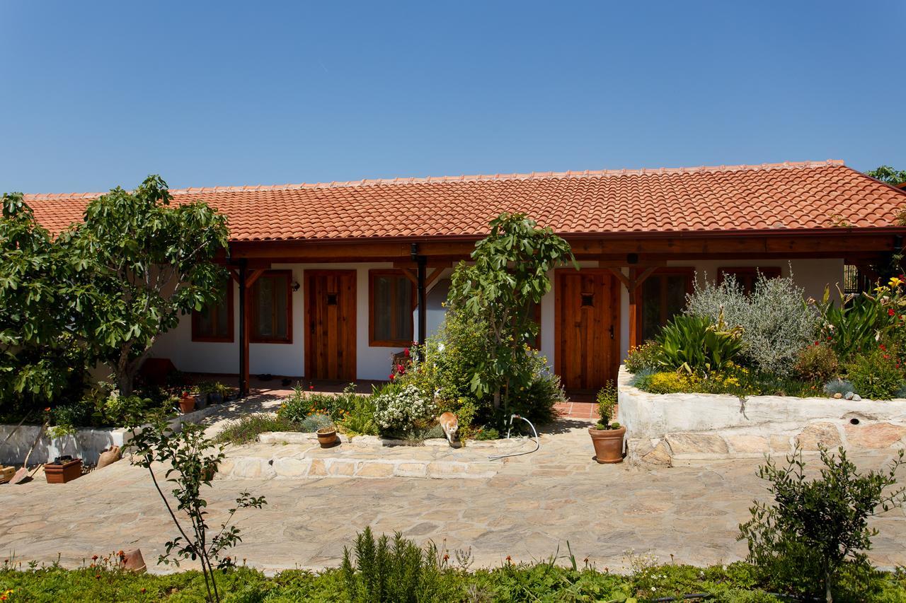 Ionia Guest House Aydin Ngoại thất bức ảnh